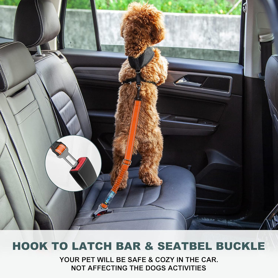 3-in-1 Dog Seat Belt