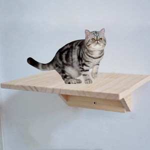 Wall Mounted Cat Climbing Frame Cat Tree Solid Wood Cat Jumping Platform Wall DIY Pet Furniture Kitten Springboard Various Size